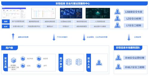 安恒信息領(lǐng)跑中國公有云托管安全服務(wù)市場，深化信息系統(tǒng)集成服務(wù)優(yōu)勢